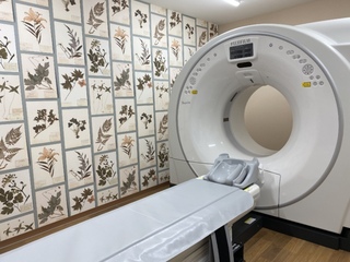 オプション込み脳ドック(CT検査、血圧測定、血液検査、心電図検査、動脈硬化検査)