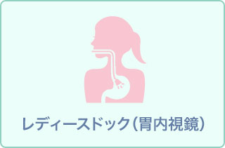 レディースドック 