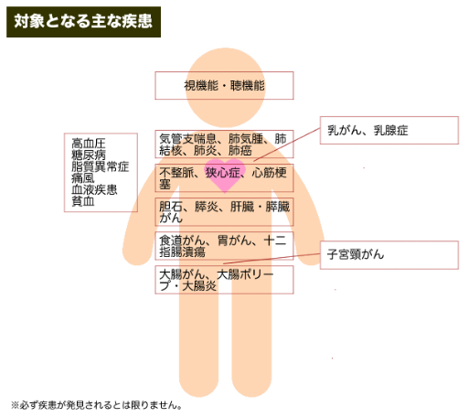 人間ドック+乳がん・子宮頸がん検診