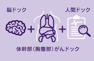 人間ドック(胃abc)+脳・体幹部ドック(頸部MRA付)