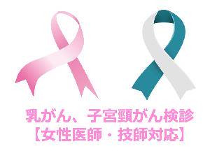 【女性スタッフ対応】乳がん+子宮頸がん検診