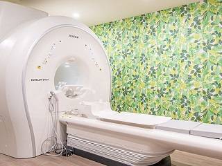 【土曜日・日曜日受診可能】すい臓ドック/見にくい臓器はMRIで11