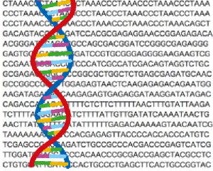 【カウンセリングのみ】がんゲノム・遺伝性腫瘍を相談11