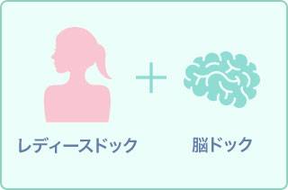 レディースドック(バリウム)+脳ドック