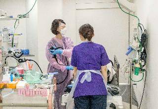 【胃・大腸カメラ実施】人間ドック+脳ドック+心臓ドック<全身おまかせコース(女性)>