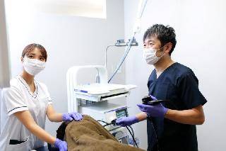 【前日予約可能】簡易　消化器人間ドック(胃カメラ(鎮静剤使用可)　一般健診)