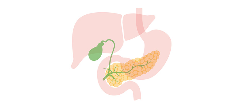 MRCPとはどんな検査？ 胆道・膵臓の病気の早期診断に役立つ可能性―検査費用や造影剤についても解説