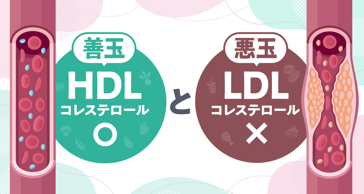 HDL・LDLコレステロールの基準値