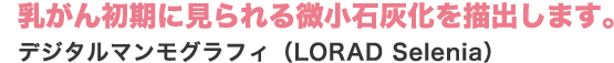 乳がん初期に見られる微小石灰化を描出します。デジタルマンモグラフィ（LORAD Selenia）