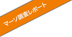 マーソ調査レポート