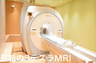 【3.0テスラMRI+専門医が説明】 プレミア脳ドック シンプルプラン11