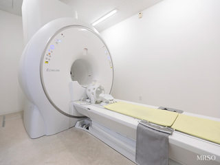 【当日の結果説明】脳ドック標準コースA(頭部MRI/MRA+頚部MRA)11
